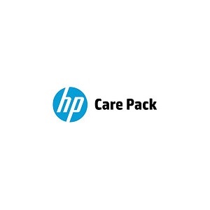 HP Install ProLiant ML110 Service